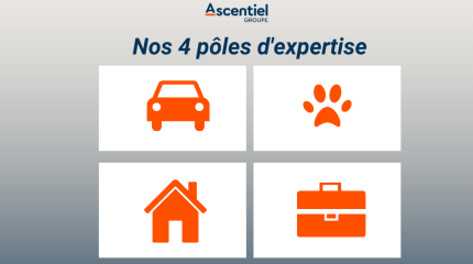 nos 4 poles d'expertise