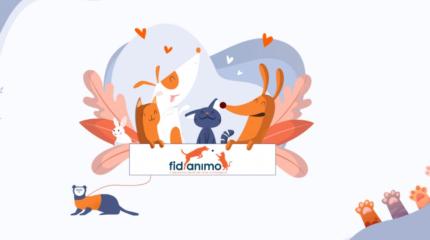 fidanimo