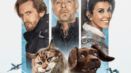 Infographie film "chien et chat"