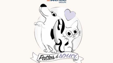 Patte d'souci 