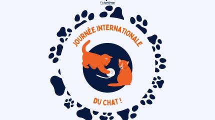 Journée mondiale du chat